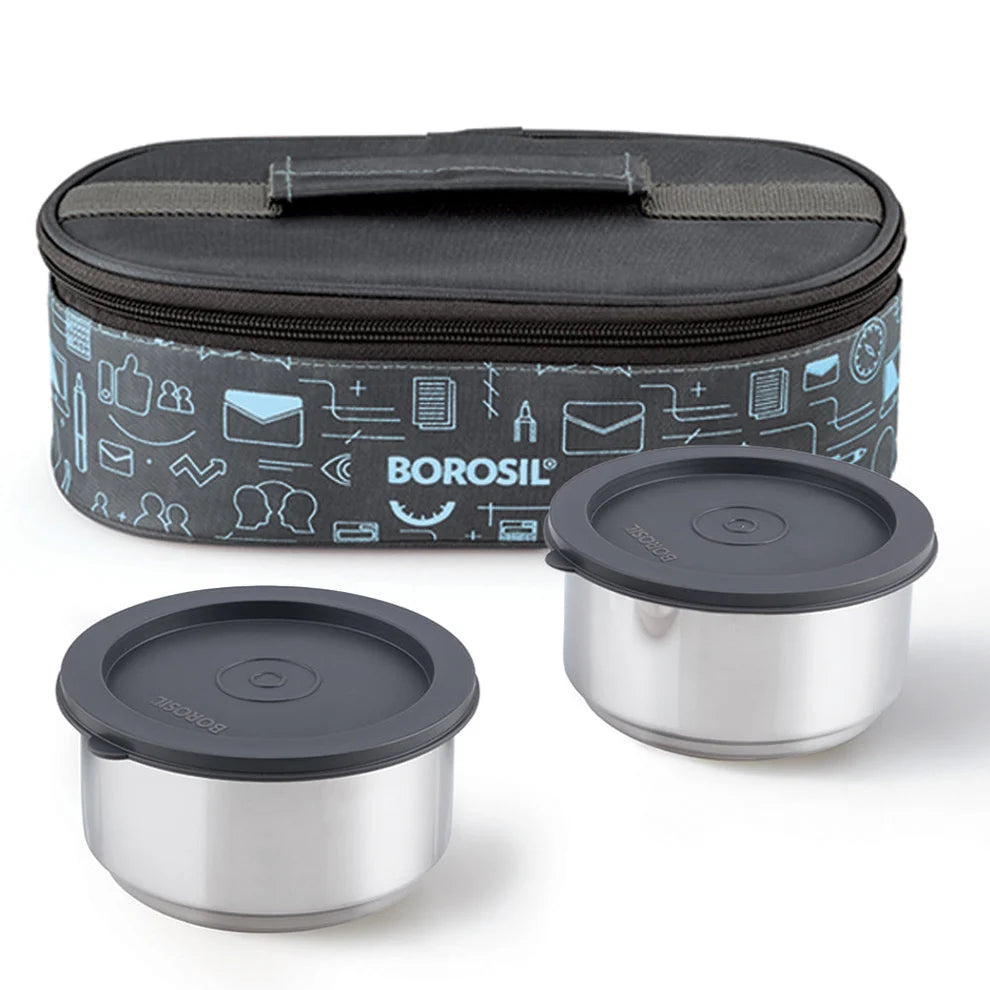 Borosil Carryfresh Steel Lunch Box Set of 2